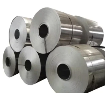 ขดลวดเหล็กผสม Hastelloy B2